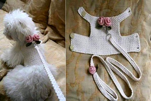 Ruffled Dog Sweater Dress (1)