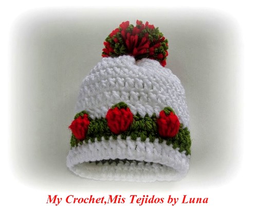 Strawberry Stitch Beanie Hat by Luna-9-16-2013 010